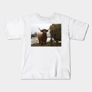 Scottish Highland Cattle Cow 2164 Kids T-Shirt